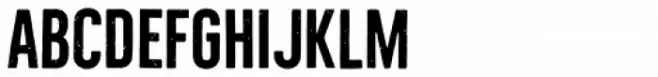 Bellfort Rough Bold