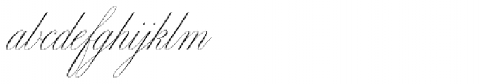 Bellissima Script Pro