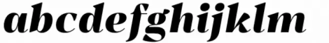 Belynos Black Italic