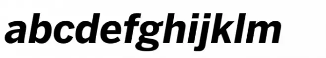 Benton Sans Std Bold Italic