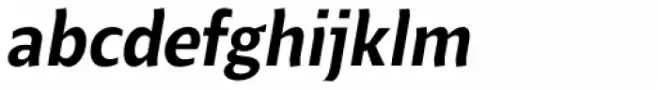 Beret Medium Italic