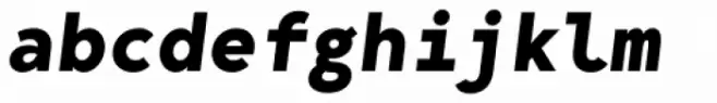 Bergen Mono Bold Italic