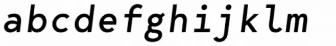 Bergen Mono Italic