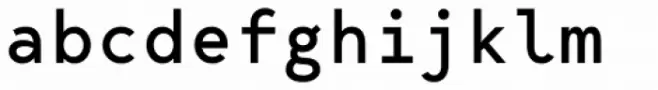 Bergen Mono