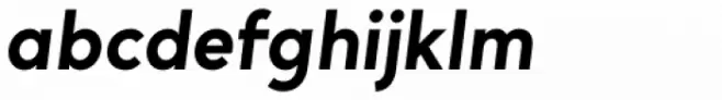 Bergen Text Semi Bold Italic