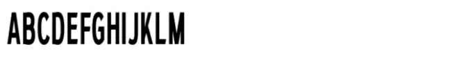 Bergins Condensed Condensed