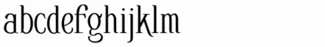 Bertoni Text
