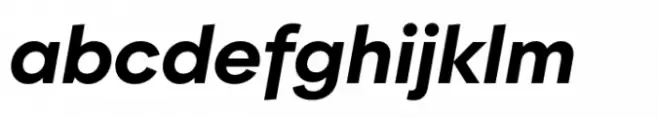 BF Garant Pro Bold Italic