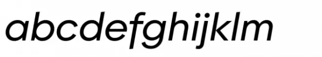 BF Garant Pro Medium Italic