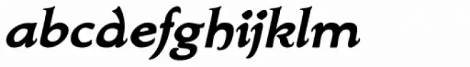 Biblia Serif Bold Italic