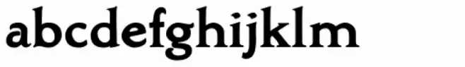 Biblia Serif Bold