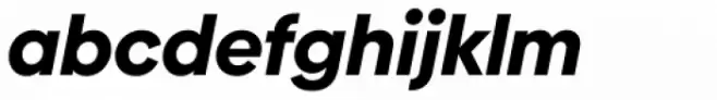 Biennale Black Italic