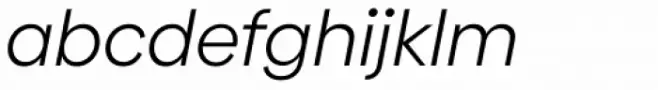 Biennale Book Italic