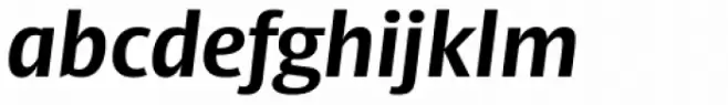Big Vesta Pro Bold Italic