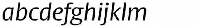Big Vesta Pro Light Italic