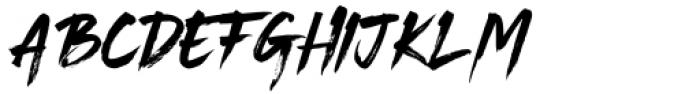 Bigruns Brush Regular
