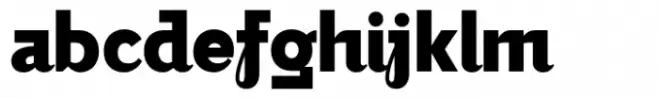 Bilgraf Black