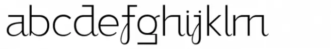 Bilgraf Thin