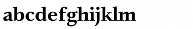 Bingo Serif Std Bold