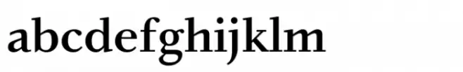 Bingo Serif Std Demibold