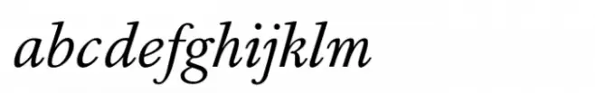 Bingo Serif Std Italic