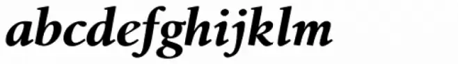 Birka Pro Bold Italic