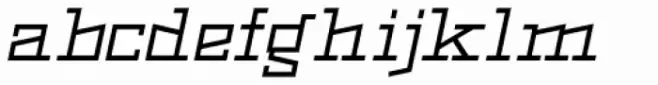 Black Bear Italic