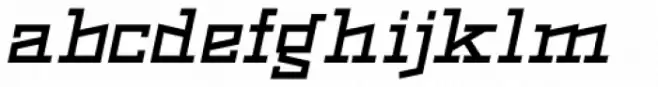 Black Bear Medium Italic