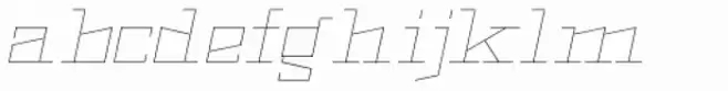 Black Bear Thin Italic