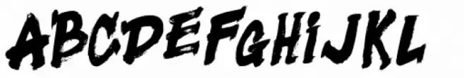 Black Fighter Serif