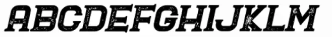 Blame Rough Serif Italic