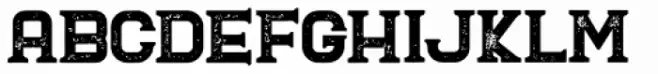 Blame Rough Serif Regular