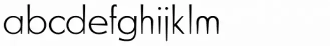 Blitz Thin