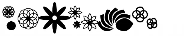 Bloomies