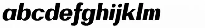 Bodrum Sans 19 Black Italic