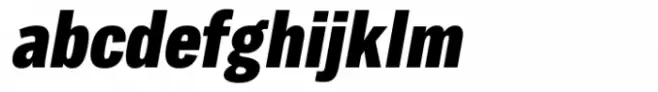 Body Text Slim ExtraBold Italic