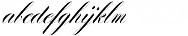 Bolgifam Script