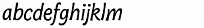 Bonobo Italic