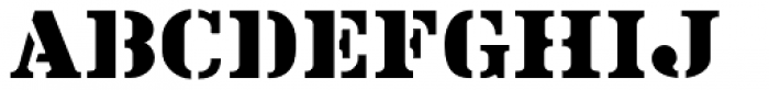 Book Report JNL