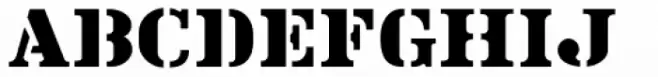 Book Report JNL