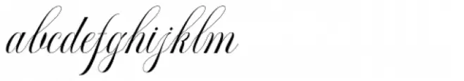 Brainly Script Regular