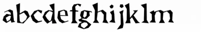 Brashee Regular