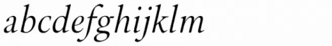Brigade Light Italic