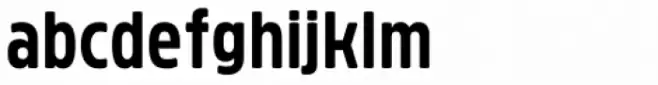 Brilk Bold