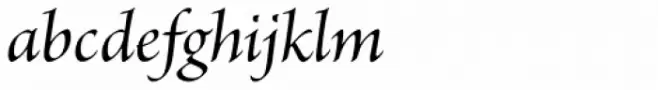 Brioso Pro SubHead Medium Italic