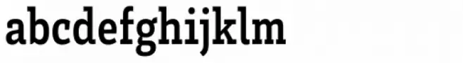 Brix Slab Condensed Bold