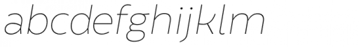 Brocha Alt Hair Italic