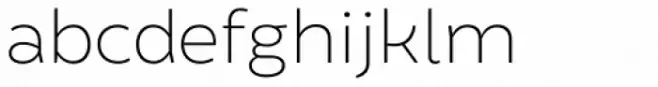 Brocha Thin