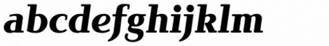 Brunch Pro Black Italic