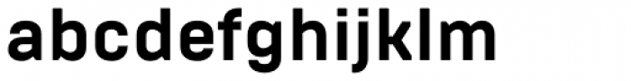 Brutal Type Bold